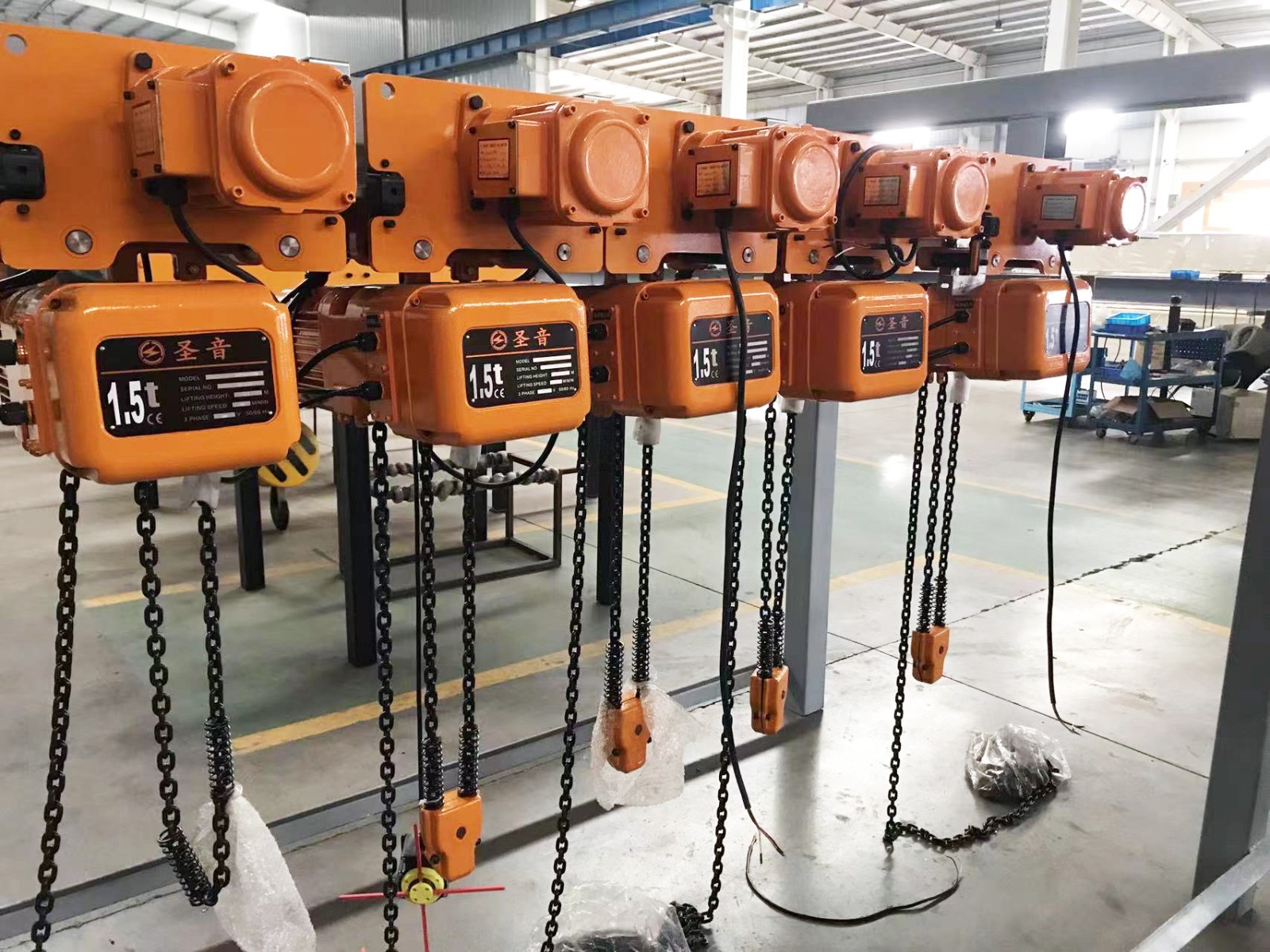 Electric Hoist Crane for SHENGYIN